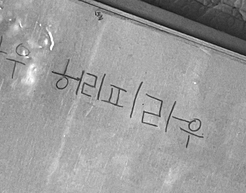 여러분의 동심은 무엇인가요?